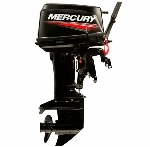 Motor de poupa 30 hp vendo pós estou precisando do dinheiro