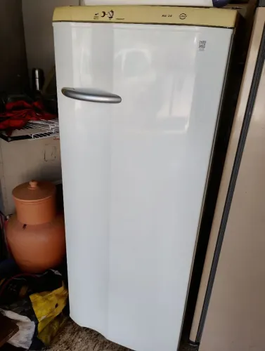 Geladeira Eletrolux re 28