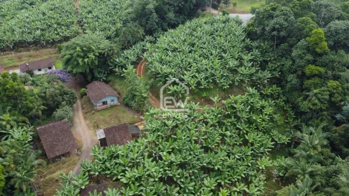 Sítio com Plantação de Bananas com Área Total de 61.400m² em Jaraguá do Sul, SC