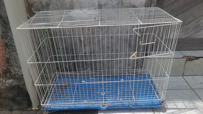 Vendo gaiola