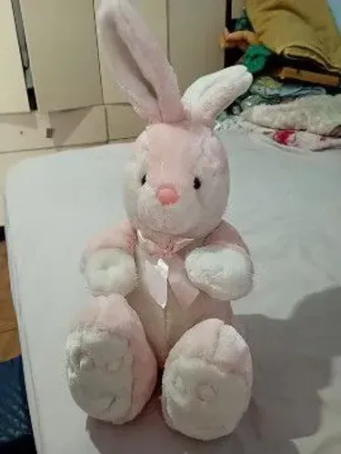 Coelhinha tamanho Médio