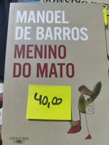 Manoel de barros menino do mato