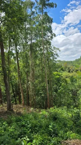 Lote/Terreno para venda tem 900 metros quadrados