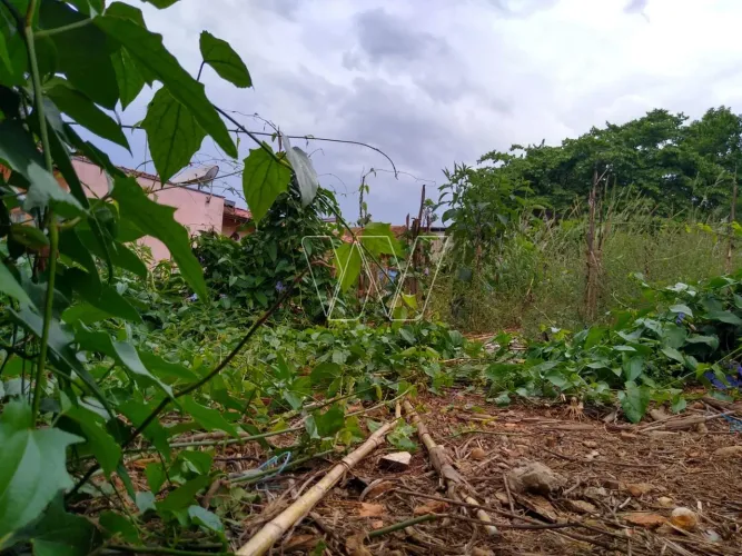 terreno - Sousas - Campinas