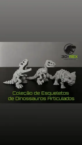 Esqueletos Dinossauros Articulados 