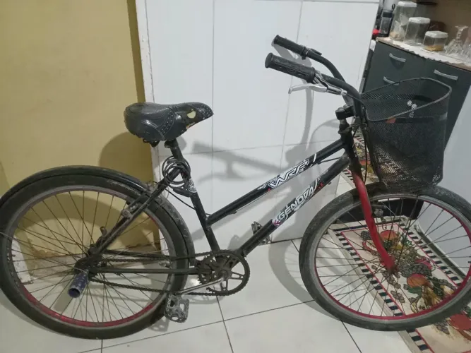 Bicicleta adulto