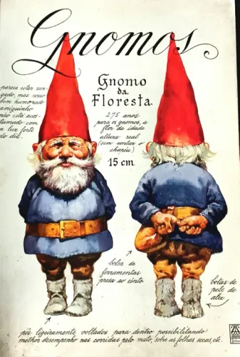 Gnomos - livro finamente ilustrado com mais de 200 páginas