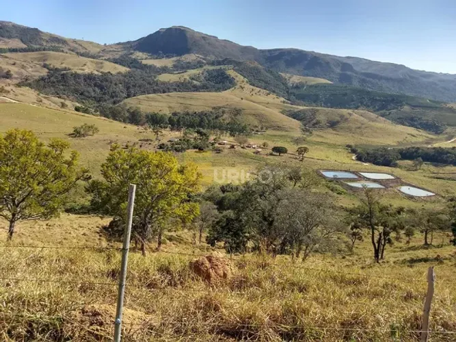 Fazenda à venda no Área Rural em Ilicínea/MG