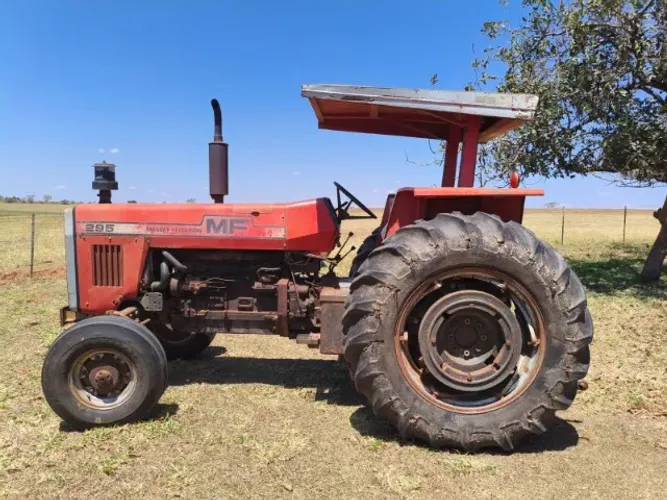Trator Massey Fergusson 295 6 cilindros