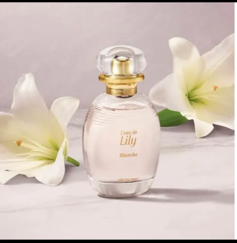 Perfume Lily lançamento 