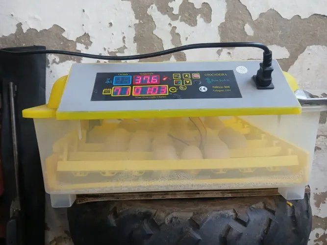 Vendo chocadeira com 30 ovos de gbs balão 