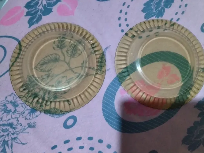 2 pratos fundos colorex 