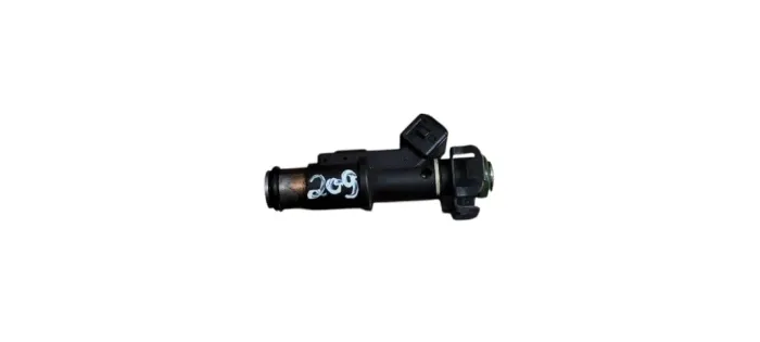 Bico Injetor Peugeot 407 2.0 2006 N209 N209 (Usado)