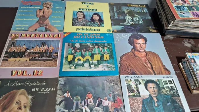 Discos de Vinil Variados