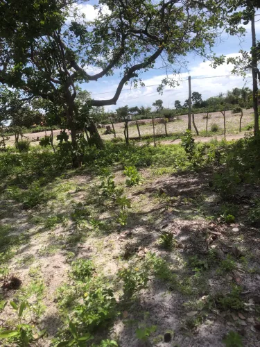Vendo lote de terreno no Povoado Santo Antônio em Barreirinhas-MA 20x30