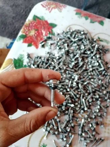 Parafuso auto brocante de inox de 1/4 por 1. 1/4 contém 492 unidades