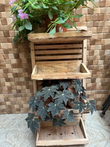 Floreira maravilhosa ? 