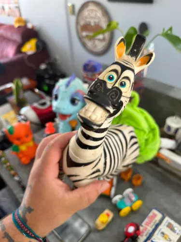 Zebra de Madagascar