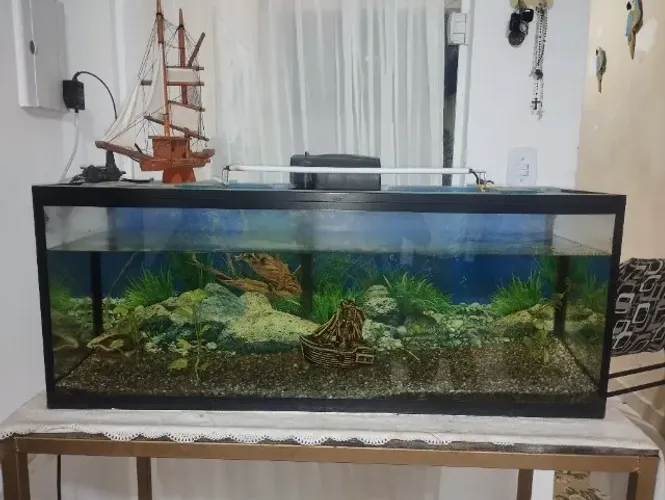 Aquário