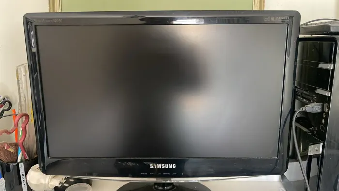 Monitor SAMSUNG 14 polegadas 
