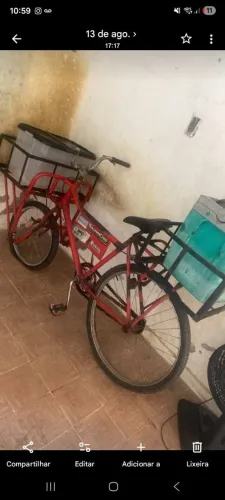 Bicicleta cargueira