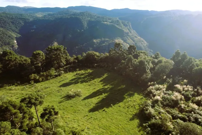 Terreno à Venda 2 Hectares com Vista Privilegiada URUBICI/SC
