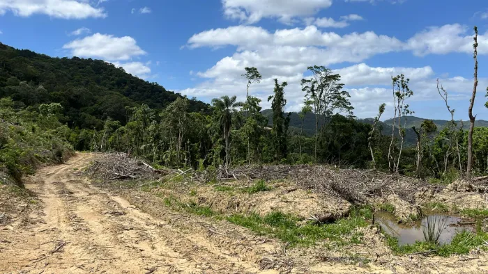 ? Terreno escriturado à venda - 32,5 hectares | Rio Miguel - Águas Mornas/SC