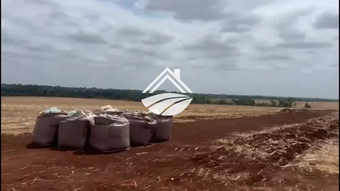 Fazenda para Venda em Imperatriz, ampla expansão agropecuária