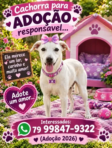 Adoção