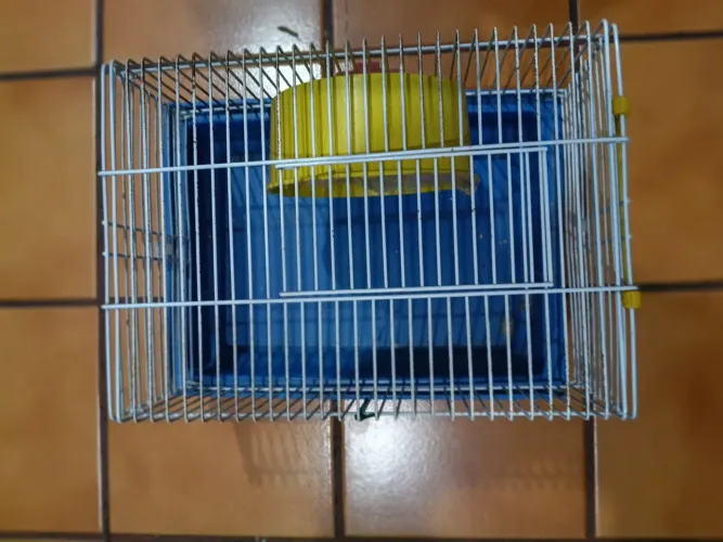 Gaiola de Hamster 