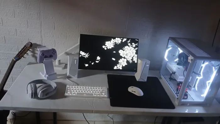 PC GAMER E SETUP GAMER