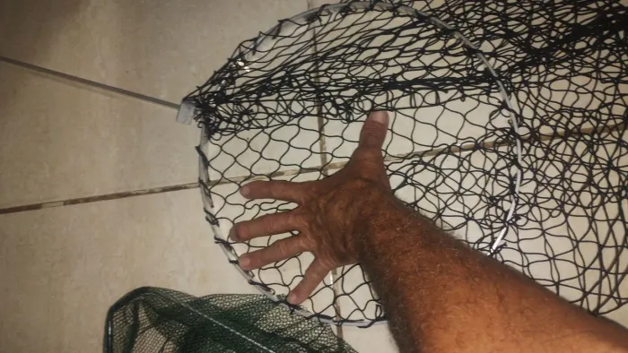 Sabura e passagua 