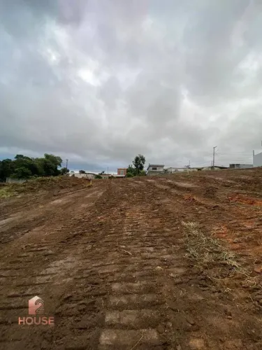 Terreno à venda, 12000 m² por R$ 4.800.000 - Chácara Águas da Pedra - Itaquaquecetuba/SP