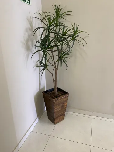 Vaso Decorativo em Madeira com Planta Ornamental - 1,55 m