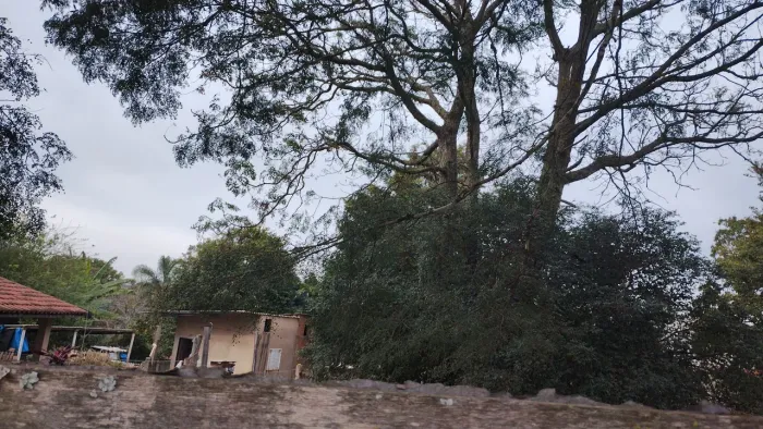 Terreno a venda