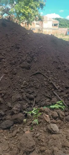 Terra Preta