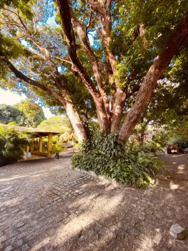 Casa de Praia Barra de Santo Antônio - AL