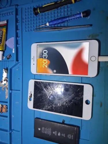 Assistência Técnica 