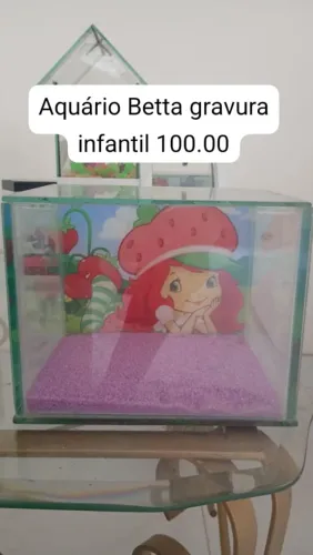 Aquários para betta