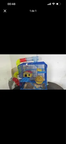 Gaiola para hamster
