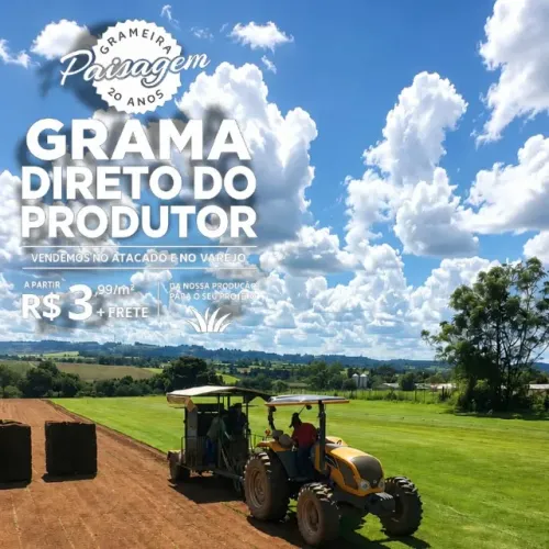 Grama Esmeralda