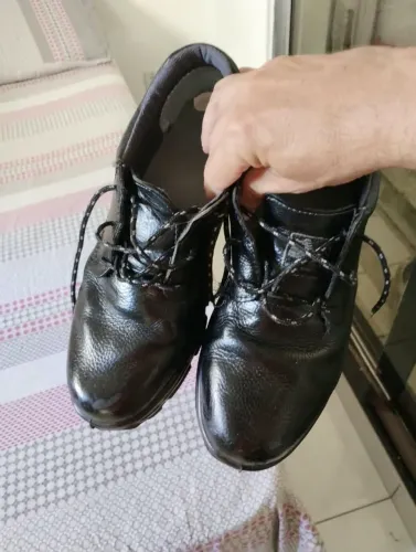 Bota