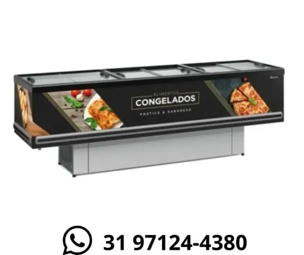 Ilha de Congelados 2,9M Vidro Reto Gelopar