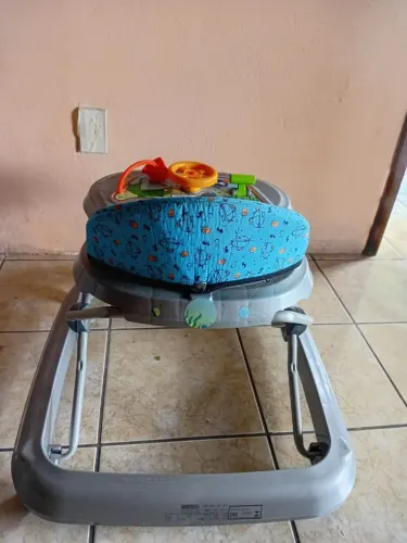 Andajá azul masculino.