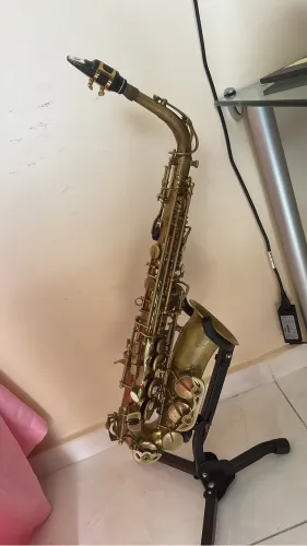 Saxofone Alto Shelter