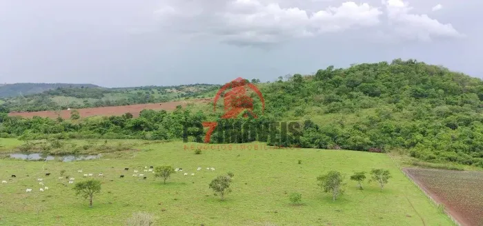 FAZENDA NA CIDADE DE ANÁPOLIS GOIÁS