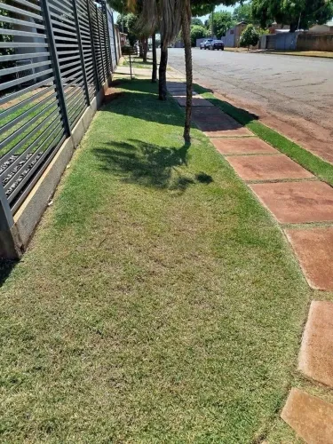 Jardineiro ( Samuel )