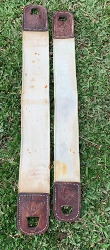 Barrigueira de fita