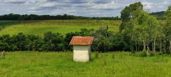 Chácara 2 Alqueires, Ótima Topografia, Água Corrente no Fundo da Propriedade, Sem Benfeito