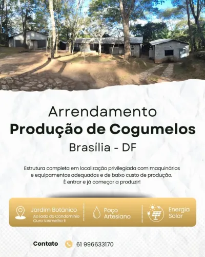 Área específica para produção de cogumelos